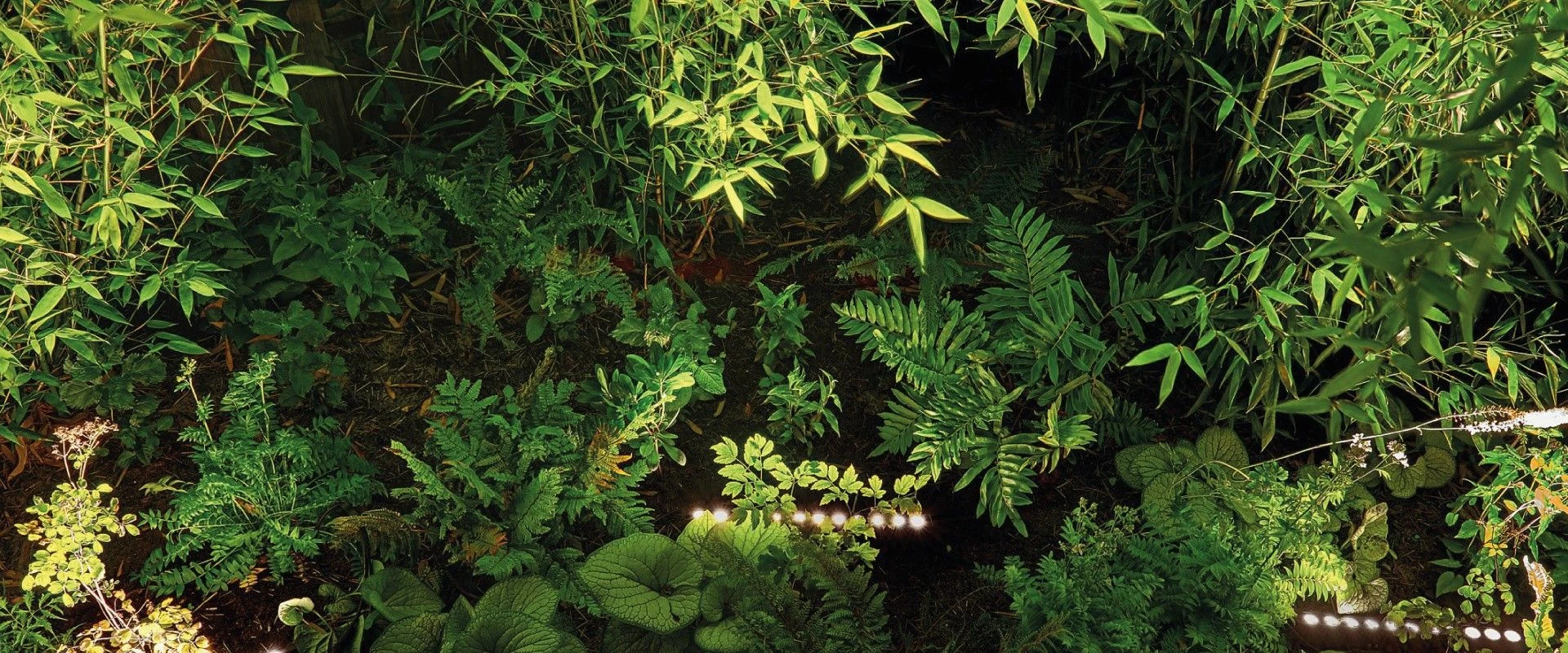 Suslight Sus Line 500 - Afbeelding 4